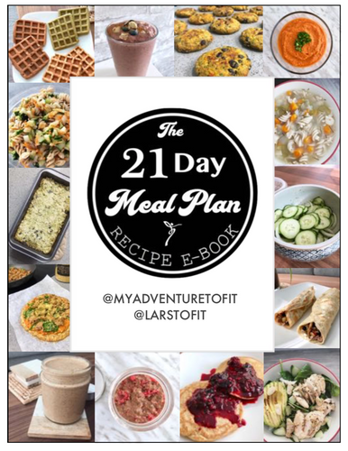 Volume II Recipe Book - 21 Day Meal Plan